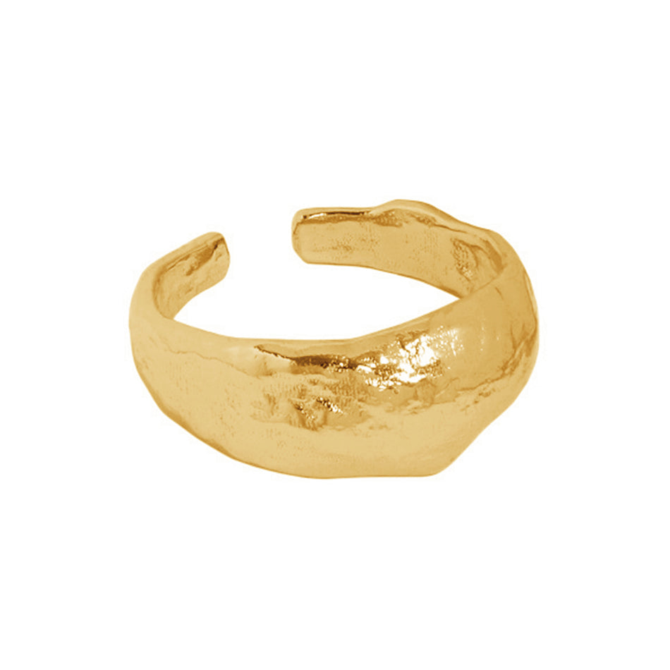 Bold Ring in Gold